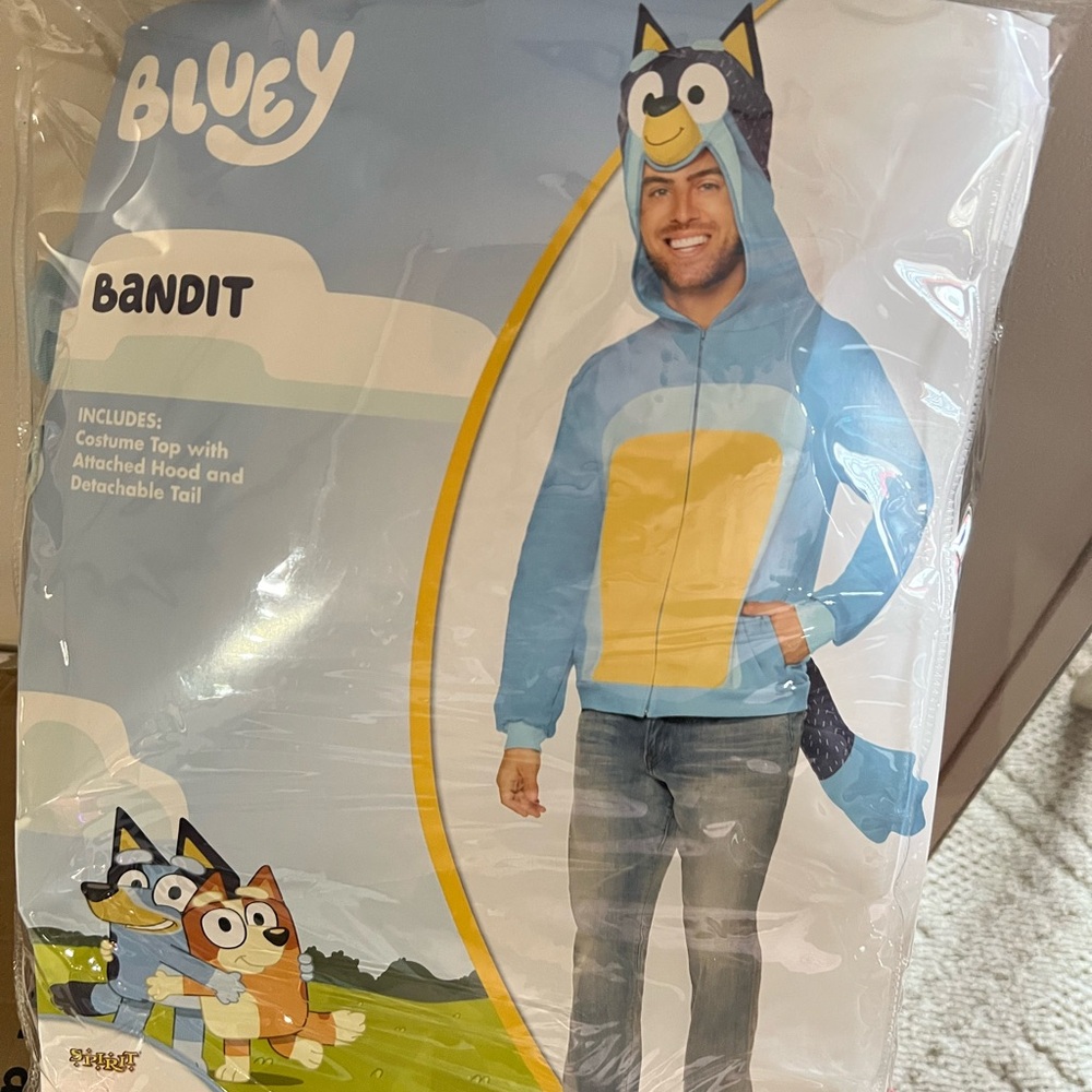 Bandit adult Costume - Blue and Yellow